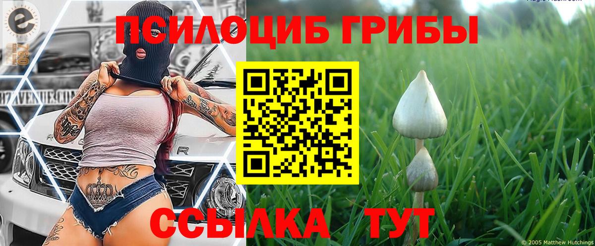 Абинск  Галлюциногенные грибы Magic Shrooms  где купить наркоту  Галлюциногенные грибы Cubensis  Вход с VPN 