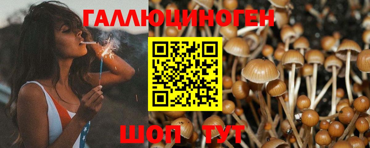 Псилоцибиновые грибы MAGIC MUSHROOMS Абинск